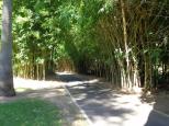 Adelaide Caravan Park - Hackney: Gorgeous walks in the botanic gardens