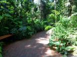 Adelaide Caravan Park - Hackney: Rainforest section botanic gardens