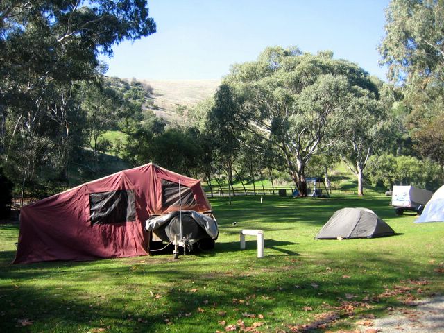 Brownhill Creek Tourist Park - Mitcham: Area for tents and camping