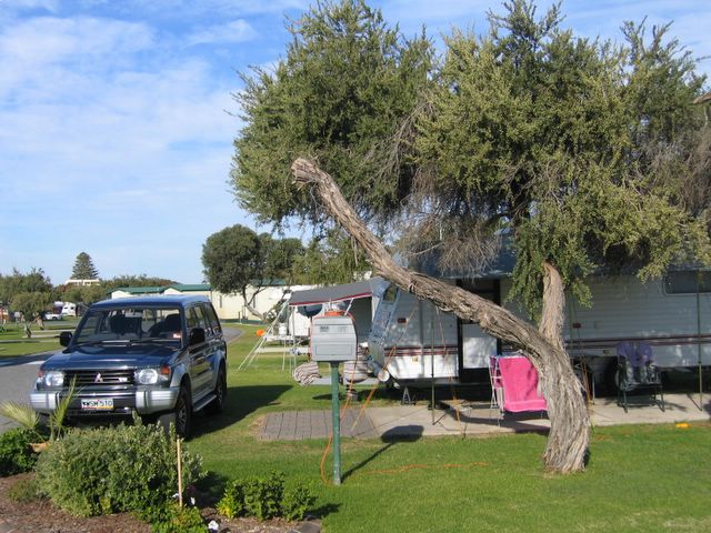Discovery Holiday Parks - Adelaide Beachfront - Semaphore Park: Powered sites for caravans