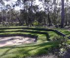 Reef Caravan Park - Round Hill via Agnes Water: kangaroos love the grass