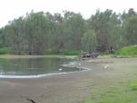 Albury All Seasons Tourist Park - Albury: see the water birds at Wonga wetlands