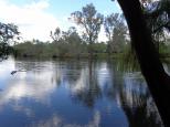 Albury All Seasons Tourist Park - Albury: The Murray river