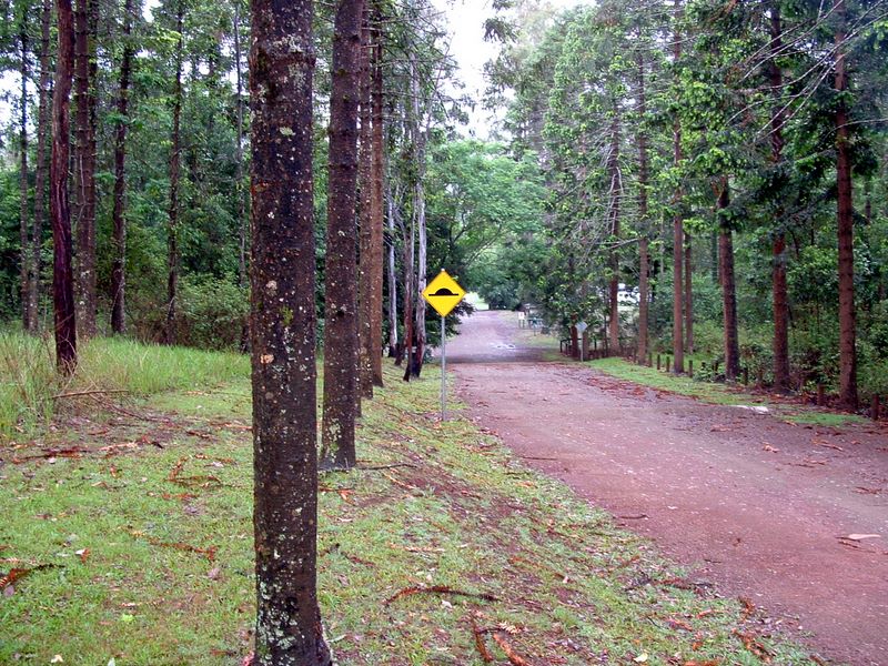 Amamoor Creek Campground - Amamoor State Forest: Sealed access road