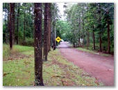 Amamoor Creek Campground - Amamoor State Forest: Sealed access road