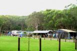 Middle Rock Holiday Resort - Anna Bay: Shady Camping area