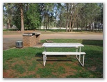 Ardlethan Caravan Park - Ardlethan: BBQ area and picnic table