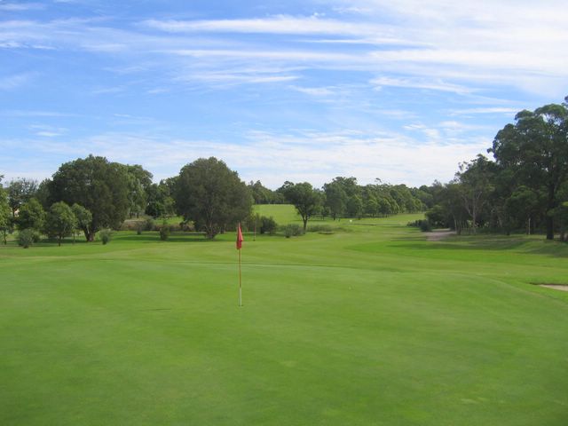 Waratah Golf Course - Argenton: Green on Hole 5