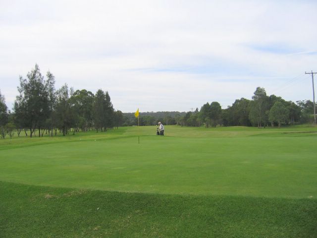 Waratah Golf Course - Argenton: Green on Hole 8