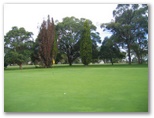 Waratah Golf Course - Argenton: Green on Hole 14