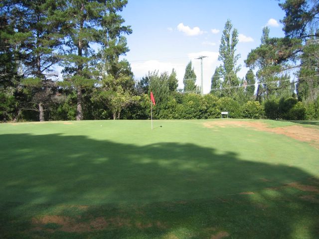 Armidale Golf Course - Armidale: Green on Hole 4