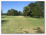 Armidale Golf Course - Armidale: Fairway View Hole 4
