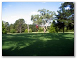 Armidale Golf Course - Armidale: Green on Hole 6
