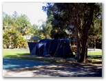 The Lorikeet Tourist Park - Arrawarra: Area for tents and camping