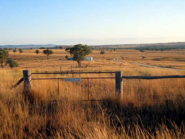 Ashford NSW - Album 1: Open grazing country a few kilometers from Ashford