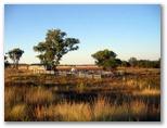 Ashford NSW - Album 1: Cattle yards near Ashford