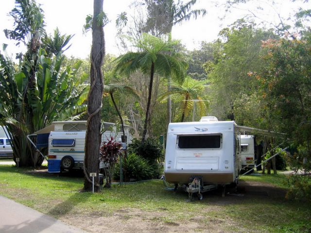 BIG4 Atherton Woodlands Van Park - Atherton: Powered sites for caravans