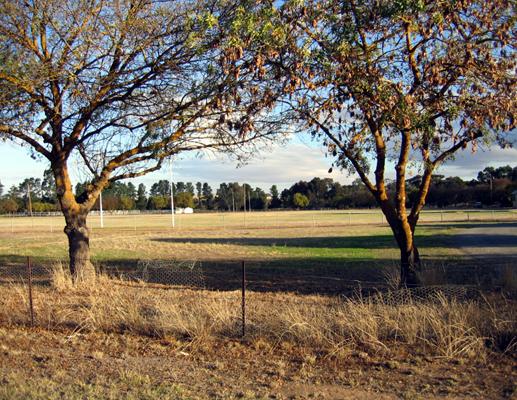 Auburn Showground Caravan Park - Clare Valley: The park is located in a beautiful rural setting.
