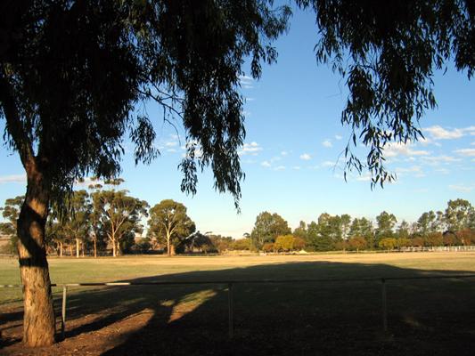 Auburn Showground Caravan Park - Clare Valley: View of the Showground which is adjacent to the Caravan Park