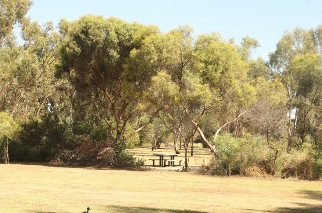 Auburn Showground Caravan Park - Clare Valley: Beautiful parkland setting at Auburn Caravan Park South Australia.