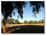 Auburn Showground Caravan Park - Clare Valley: View of the Showground which is adjacent to the Caravan Park