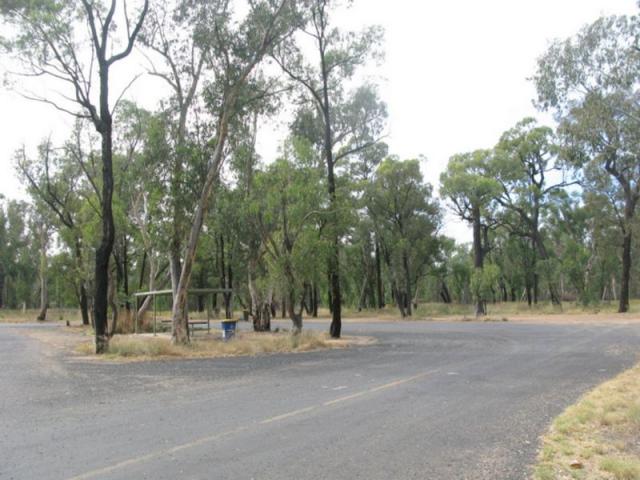 Pilliga Rest Area - Baan Baa: Overview of the rest area. 