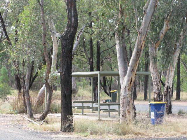 Pilliga Rest Area - Baan Baa: Undercover picnic tables to shield you from the sun and rain. 