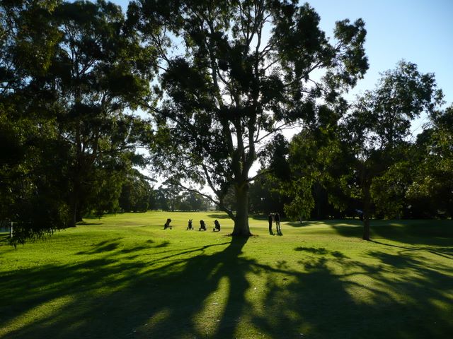 Bairnsdale Golf Course - Bairnsdale: The Bairnsdale Golf Course has many majestic trees.