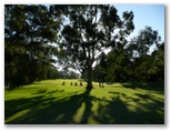 Bairnsdale Golf Course - Bairnsdale: The Bairnsdale Golf Course has many majestic trees.