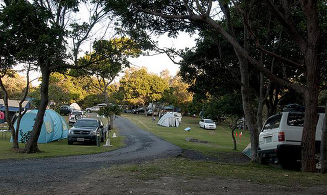 Flat Rock Tent Park - East Ballina: Good paved roads throughout the park