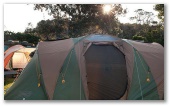 Flat Rock Tent Park - East Ballina: Campsites