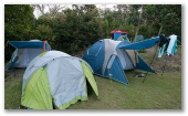 Flat Rock Tent Park - East Ballina: Beautiful bush setting