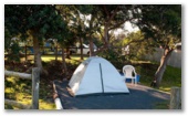Flat Rock Tent Park - East Ballina: Comfortable campsites.