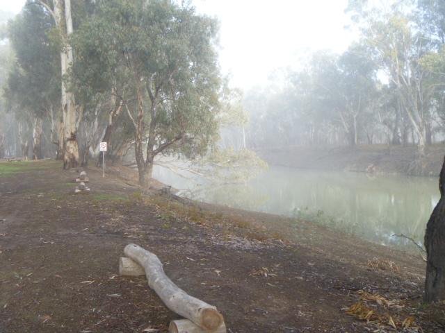 Balranald Caravan Park - Balranald: Eerie fog this morning