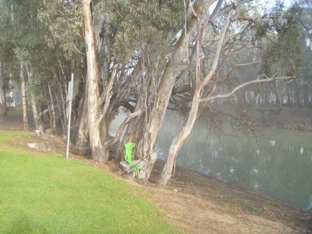 Balranald Caravan Park - Balranald: perfect place for a frog to sit, fishing