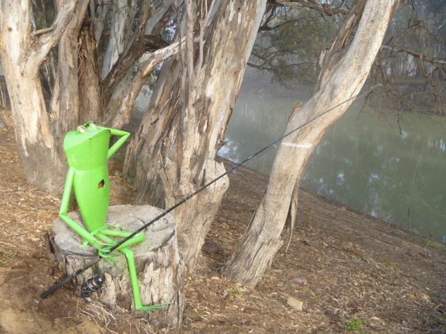 Balranald Caravan Park - Balranald: Frog adds a relaxing touch