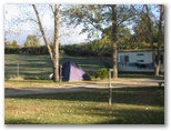 Brolgaroo Caravan Park - Barooga: Area for tents and camping