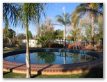 Brolgaroo Caravan Park - Barooga: Swimming pool