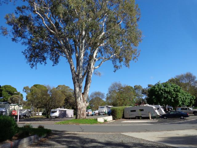 Gawler Caravan Park  - Gawler Barossa Valley: Gawler Caravan Park,
caravan sites, all have slabs, and are dry and sheltered for the most part.