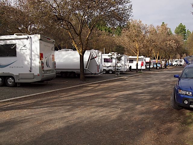 Barossa Valley Tourist Park by Russell Barter - Barossa Valley Nuriootpa: Plenty of room for large motor homes.