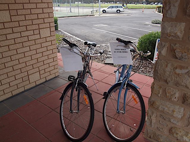 Barossa Valley Tourist Park by Russell Barter - Barossa Valley Nuriootpa: Bikes for hire