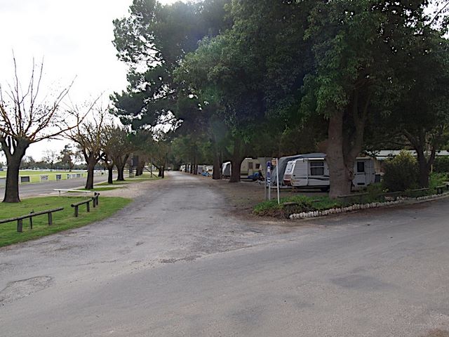Barossa Valley Tourist Park by Russell Barter - Barossa Valley Nuriootpa: Shady powered sites for caravans with view of oval