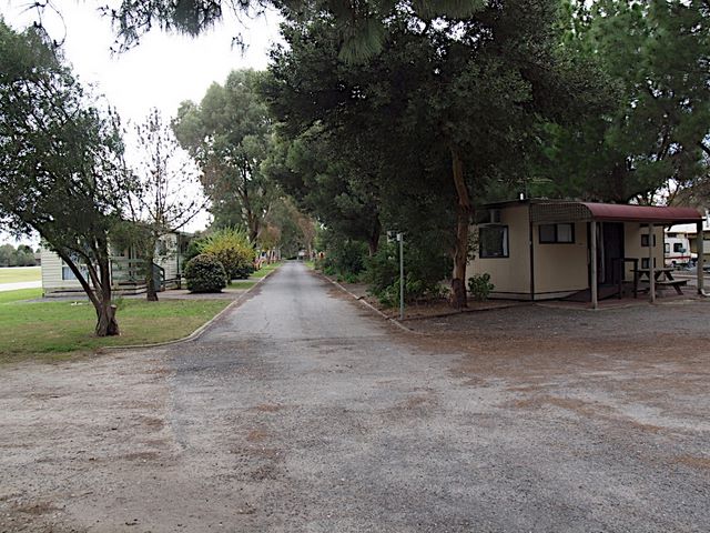 Barossa Valley Tourist Park by Russell Barter - Barossa Valley Nuriootpa: Road to cabins