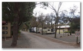 Barossa Valley Tourist Park by Russell Barter - Barossa Valley Nuriootpa: Drive through powered sites for caravans