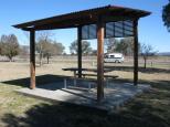 Barraba Lions Park - Barraba: Sheltered picnic table