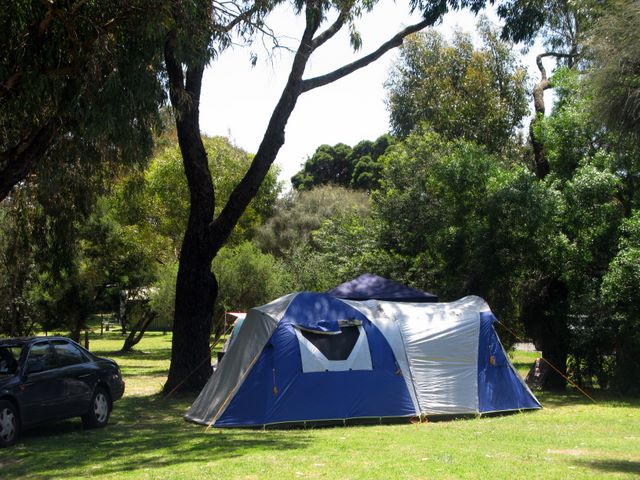 Barwon Heads Caravan Park - Barwon Heads: Area for tents and camping