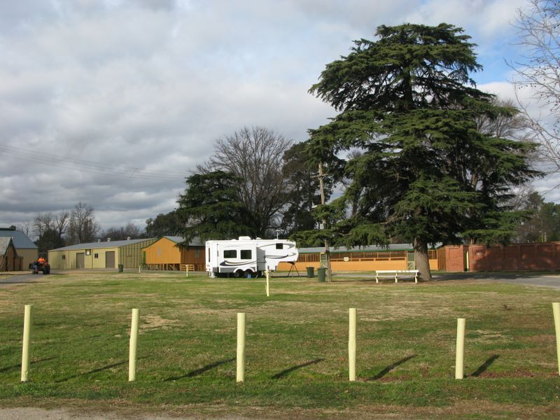 Bathurst Showgrounds Camping Area - Bathurst: Powered sites for caravans and motorhomes.