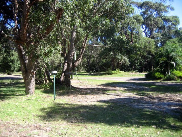 Racecourse Beach Tourist Park - Bawley Point: Bushland powered sites for campers and caravans