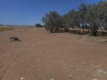 Simpson Desert Oasis Roadhouse - Bedourie: Plenty of space but little shade