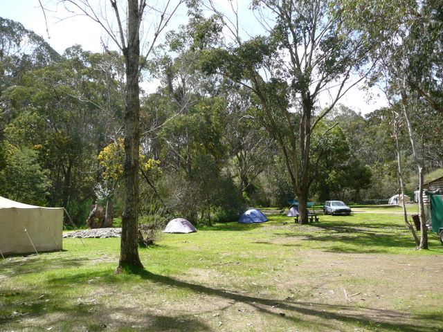 Silver Creek Caravan Park - Beechworth: Area for tents and camping